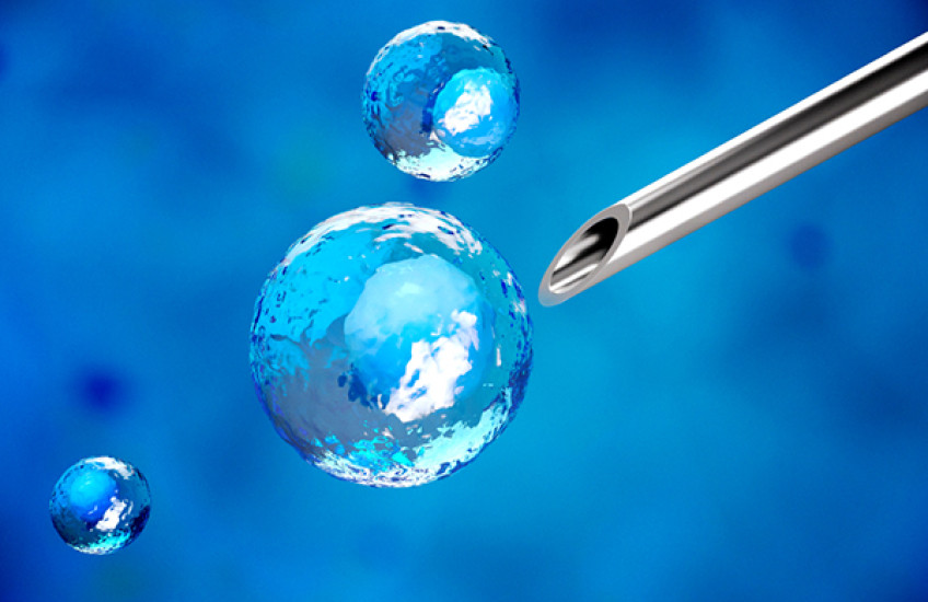 Another Hurdle Cleared