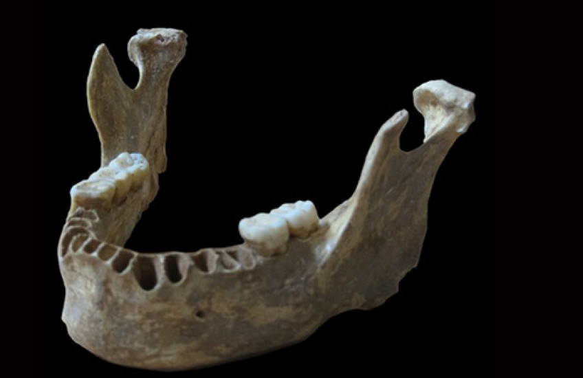 Great-Great-Grandpa Neanderthal?