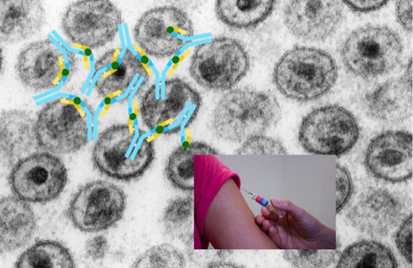 Keeping Up with HIV Mutations