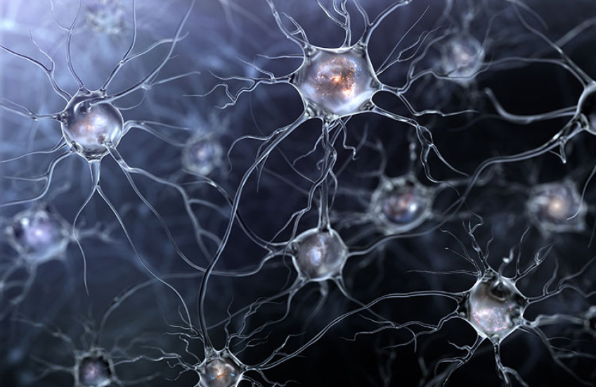 Secrets of Secretion