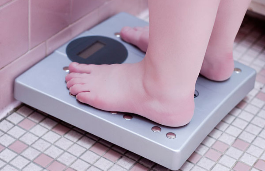 Obesity-Cancer Connection