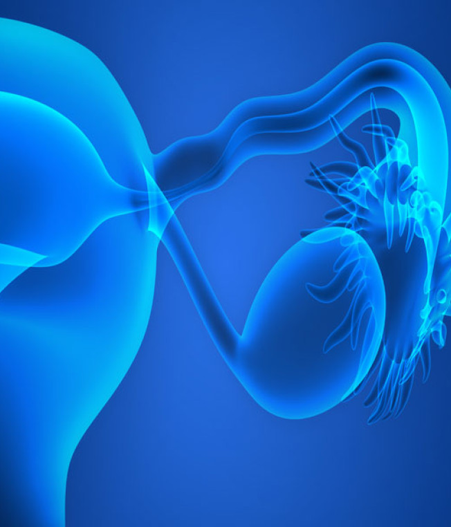 Ovarian Chemo Shield?