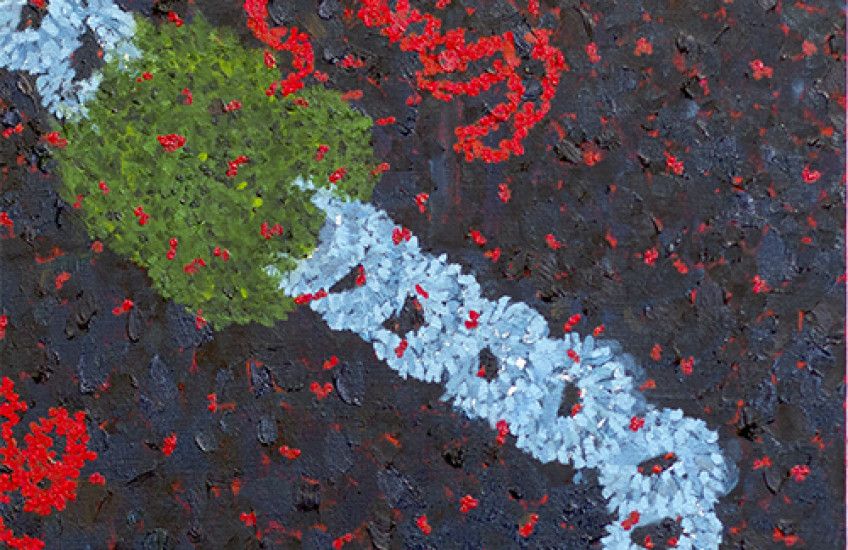 Zooming in on Transcription