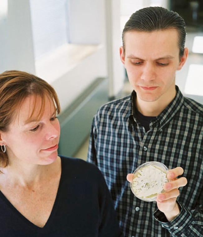 Genetic Blueprint Drawn for Natural Antibiotic