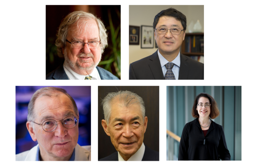 Warren Alpert Foundation Honors Five Pioneers in Cancer Immunology