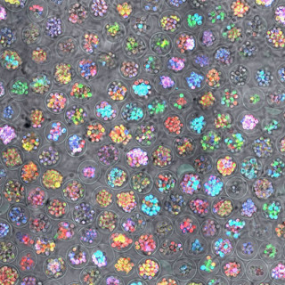 Dozens of small, colorful cells