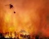 Firefighting helicopter dumping water to extinguish forest fire. Image: Toa55/istock/Getty Images Plus