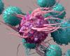 Illustration of a T cell 