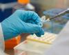 Gloved hands using pipette, test tube 