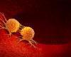 cancer cells