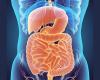 digital illustration of human digestive system