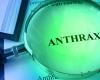 lab plate with anthrax