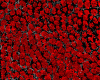 Moving image showing goblet cells, nerves, and epithelial cells