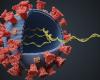 Image of a virus variant 