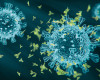 Artist's rendition of SARS-CoV-2 particles, slightly aglow like X-ray images, as Y-shaped antibodies cluster around one in attack