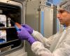 Researcher examines organ on chip