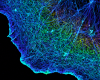 Fluorescent dye lights up actin strings in a cell in a rainbow of colors. The cell edge glows in a shape like a fried egg against a black backdrop.