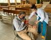 Sedas taking a patient's blood pressure reading at a community church