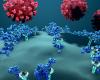 Antibodies and SARS-CoV-2 virus