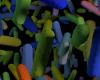gut microbiome
