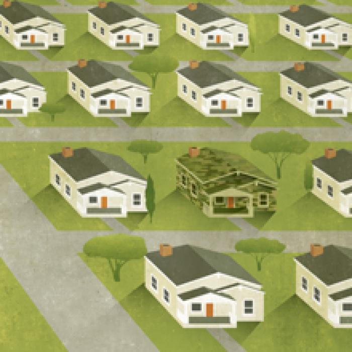 illustration of several houses, one camouflaged