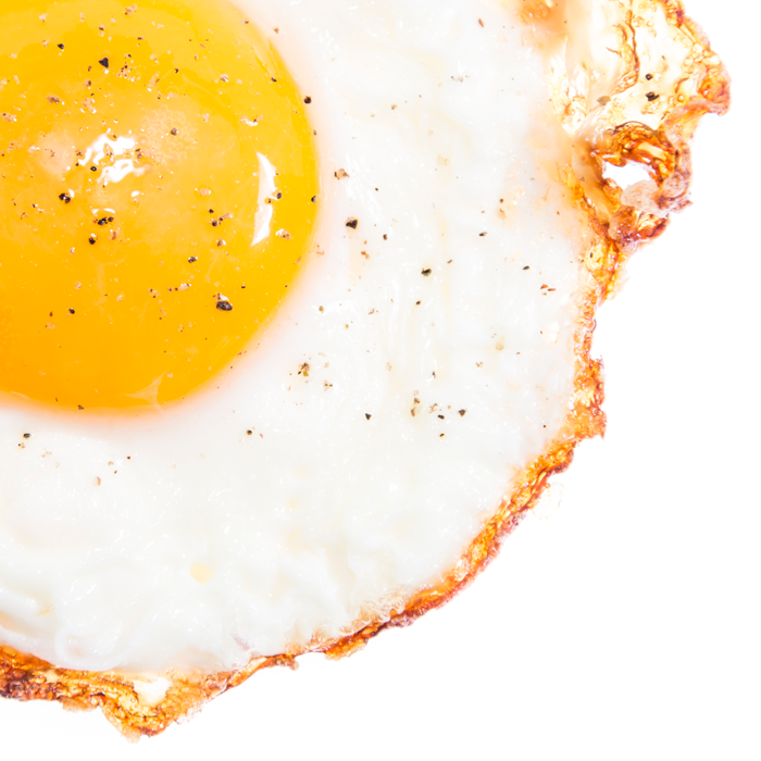close up of an egg, sunny side up