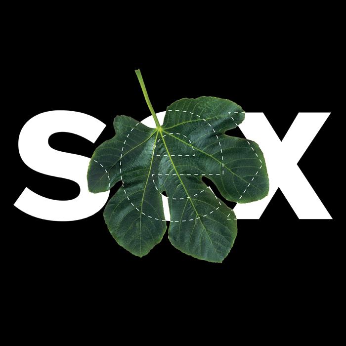 illustration of a fig leaf covering the word "sex"