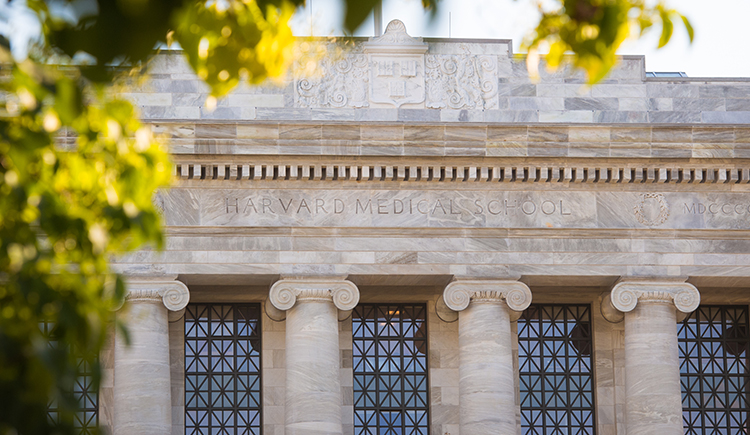 Harvard Medical School State of the School Address 2019 | Harvard ...