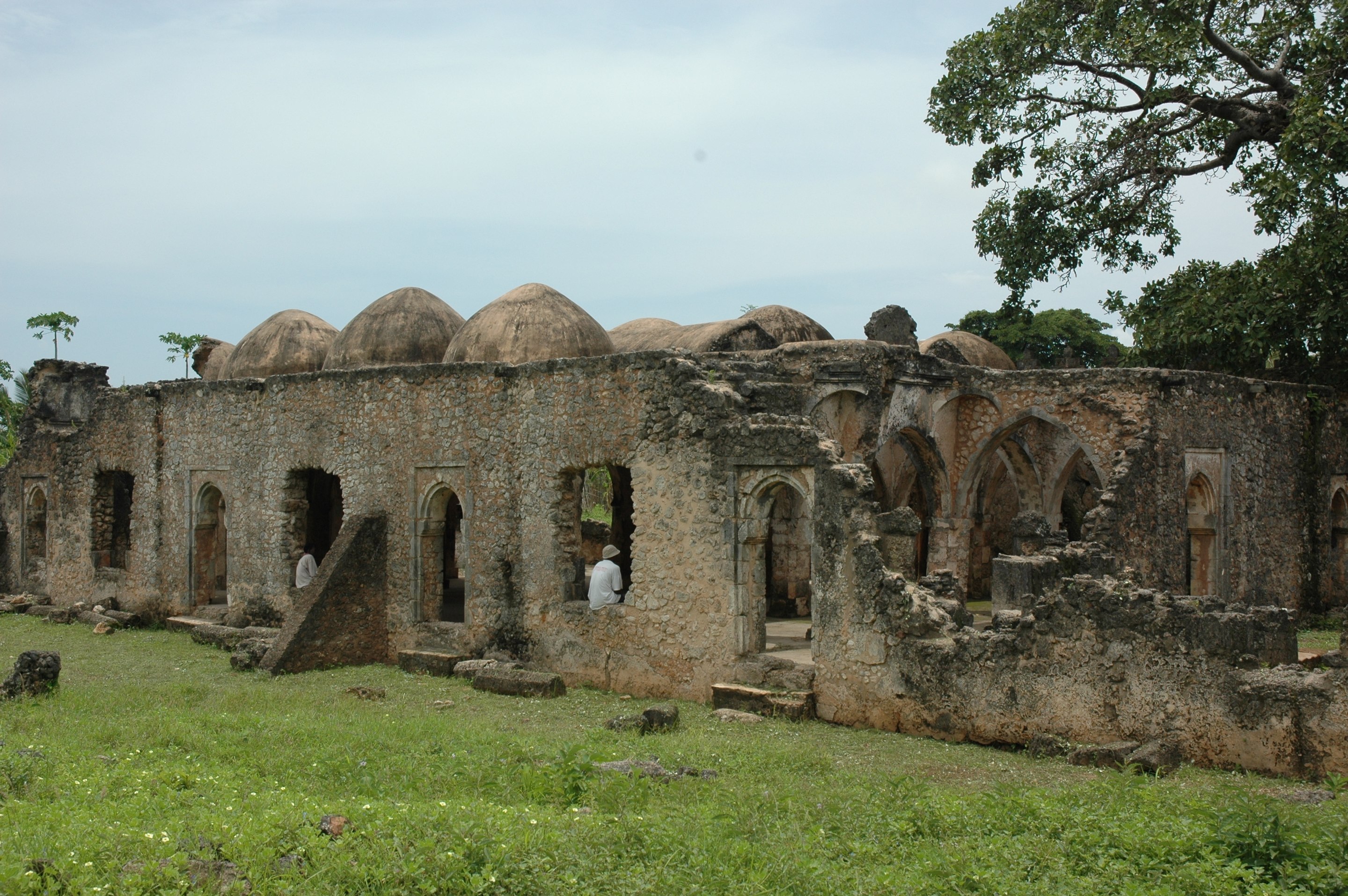 ruins of a long stone wall with domed features amid grass