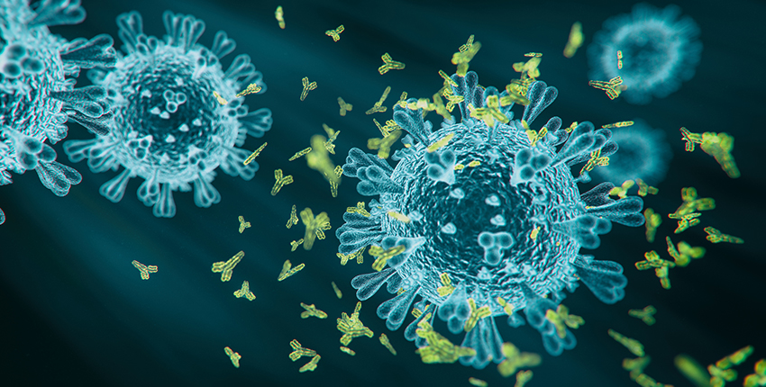 Artist's rendition of SARS-CoV-2 particles, slightly aglow like X-ray images, as Y-shaped antibodies cluster around one in attack