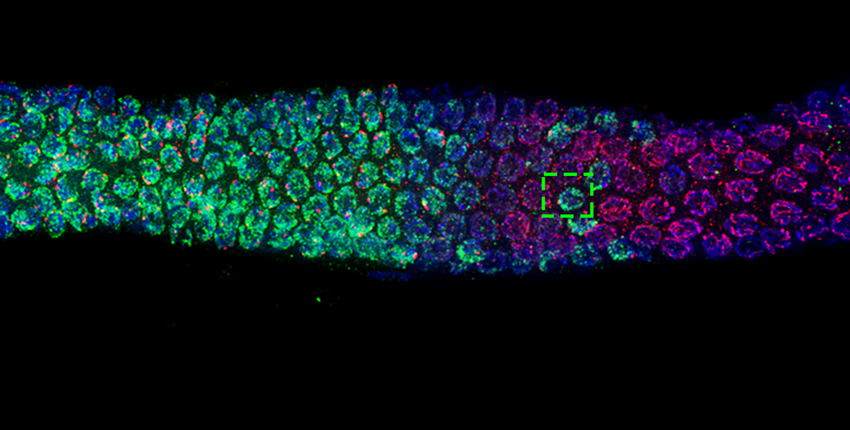 Breaking Point Science Example Break Point | Harvard Medical School