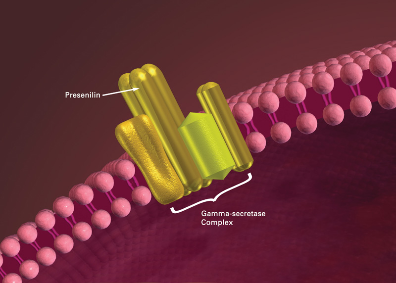 Upending Alzheimer’s Theory