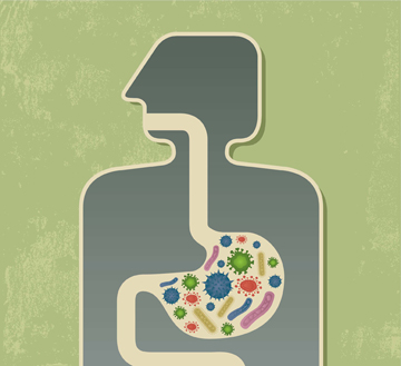 Altered Gut Microbes Key to Bypass Success