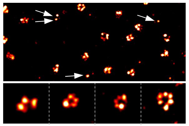 Counting with qPAINT | Harvard Medical School