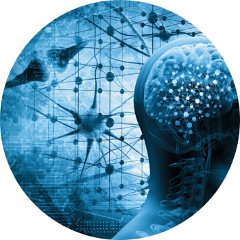 Futuristic image of back half of head and floating scientific figures