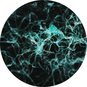 Greenish blue neurons