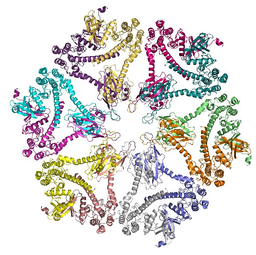 Colorful ribbon-diagram illustration shows dodecahedron symmetry of CaMKII enzyme