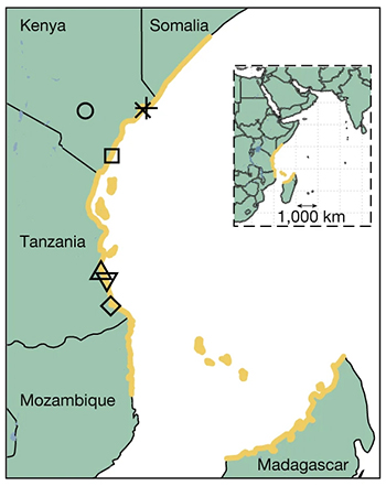 map of Africa showing a strip of coastline in gold below the Horn