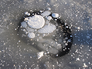 Opaque white bubbles frozen in ice