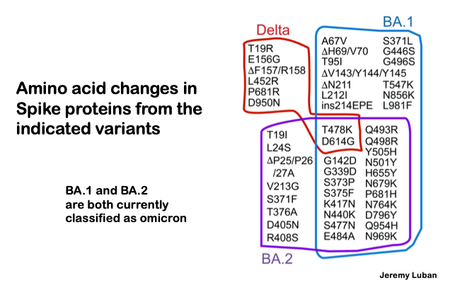 A chart shows overlap between mutations in delta, BA.1 and BA.2 variants