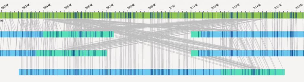 Graph shows many lines tracing movement of genes from one part of the genome to another