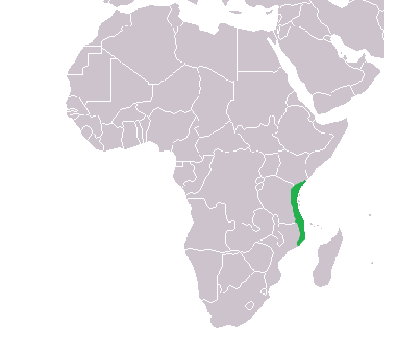 map of Africa with a section of the east coast below the Horn of Africa highlighted in green