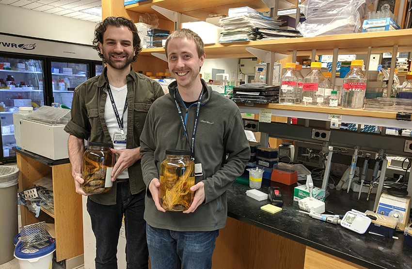Two young men pose at a lab bench, each holding a jar with preserved fish
