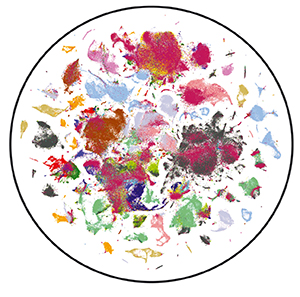 illustration of a circle with colored clusters within