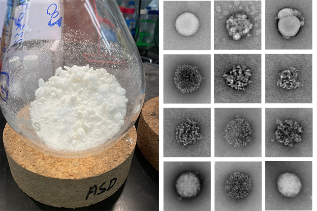 two photos side by side. left: a flask with powdery white material. right: a grid of microscope images shows different spherical formations.
