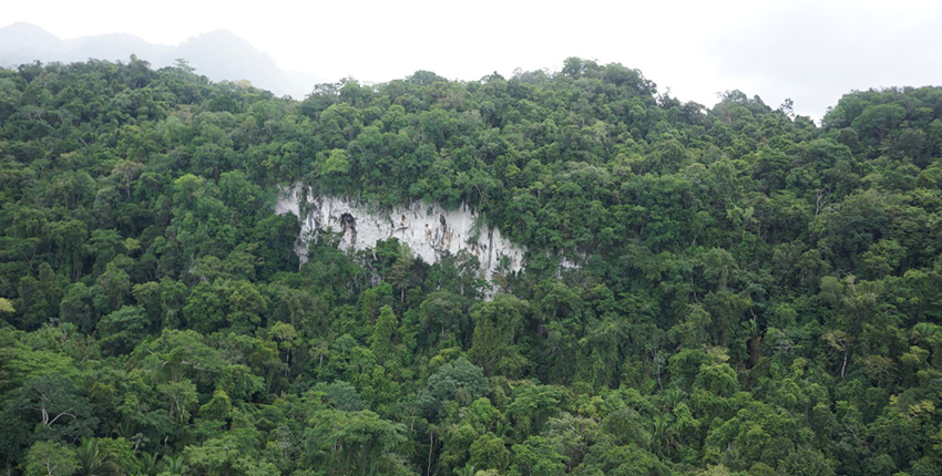 Photo of forested area with a rocky outcropping