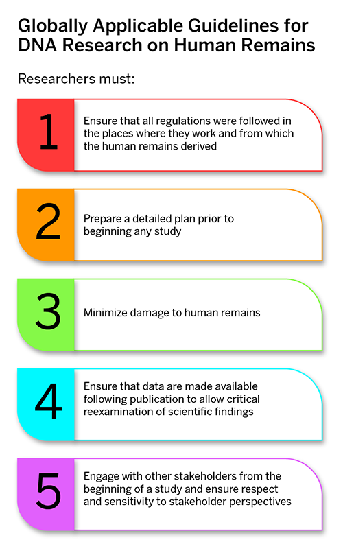 Graphic has the title, "Globally Applicable Guidelines for DNA Research on Human Remains." Then the heading: "Researchers must." A list follows. 1) Ensure that all regulations were followed in the places where they work and from which the human remains derived  2) Prepare a detailed plan prior to beginning any study  3) Minimize damage to human remains  4) Ensure that data are made available following publication to allow critical reexamination of scientific findings  5) Engage with other stakeholders from the beginning of a study and ensure respect and sensitivity to stakeholder perspectives