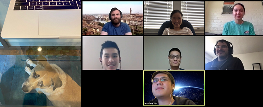 left: dog underneath a glass table. right: screen shot of a zoom call with seven people in the shao lab